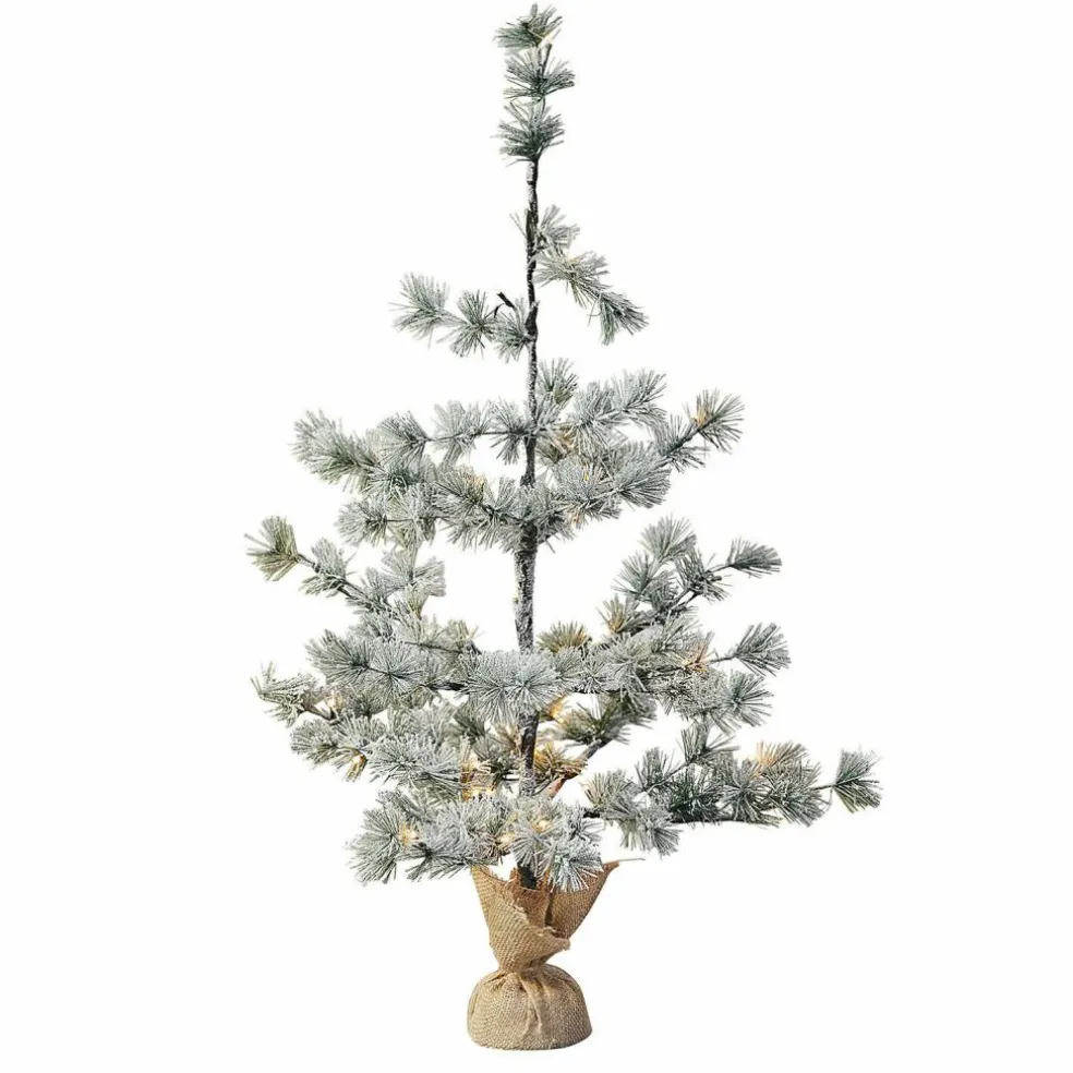 Sapin de Noël Falkirk