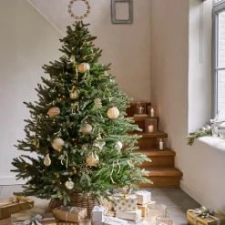 Sapin de Noël Franck