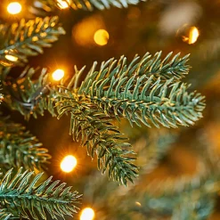 Sapin de Noël Franck