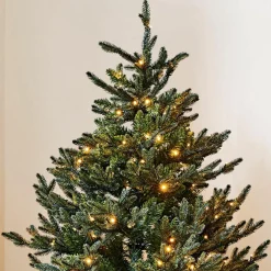 Sapin de Noël Franck