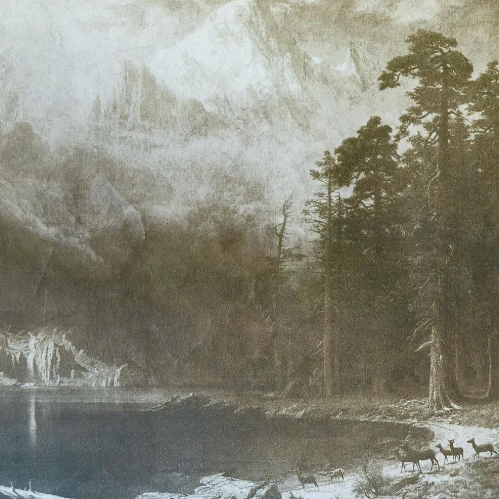 Tableau Belle Horizon